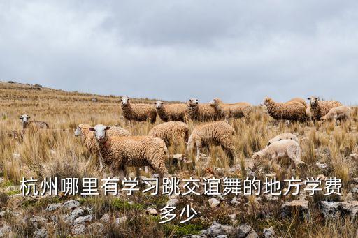 杭州的舞蹈培训班,杭州舞蹈培训班转发朋友圈