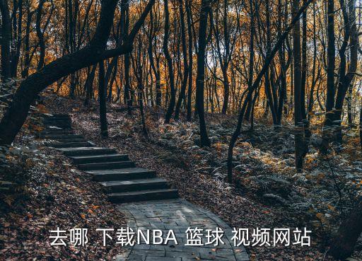 我的篮球 舞蹈视频下载,教会最新最好舞蹈视频下载