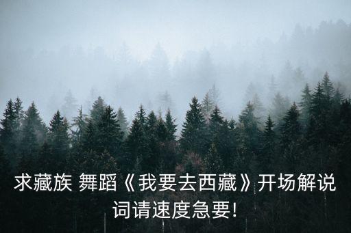 舞蹈我的高原,舞蹈高原情歌完整版