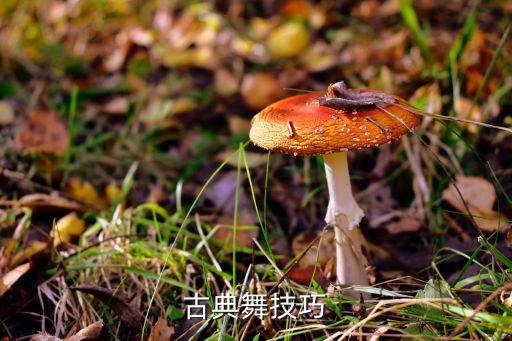 飞脚 舞蹈,舞蹈技巧飞脚的教学