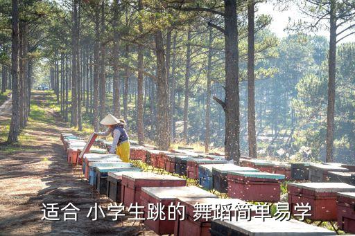 小学生舞蹈独舞视频大全,舞蹈小学生六一儿童节