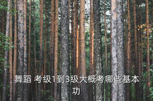 舞蹈考级第一级,中国舞蹈家协会中国舞蹈考级第一级