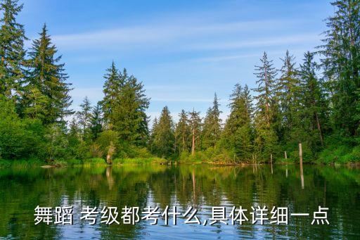 九级舞蹈考级全部舞蹈视频,九级考级舞蹈豆蔻时节
