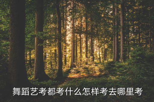 中戏舞蹈初试考什么,舞蹈生可以考中戏表演系吗