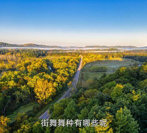 类似街舞的舞蹈叫什么,街舞与其他舞蹈有什么区别