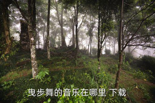 下载舞蹈歌曲,少儿舞蹈歌曲
