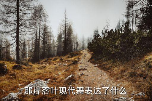 飘摇舞蹈教学视频,飘摇钢琴弹奏视频教学