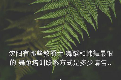 沈阳街舞蹈,哈尔滨沈阳街在哪里