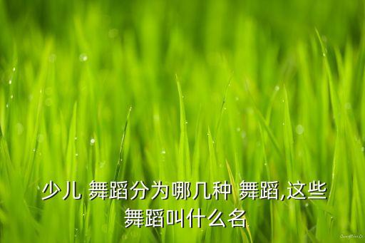 少儿五级舞蹈都有哪些,少儿舞蹈视频大全100首