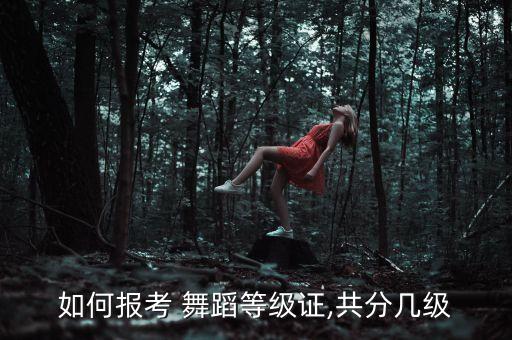 江苏少儿舞蹈考级二级,少儿舞蹈考级二级《大脚丫小脚丫》