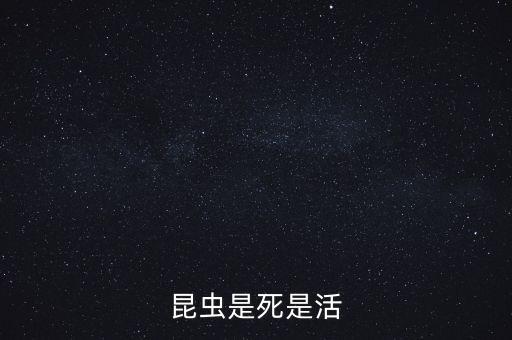 虫儿飞飞舞蹈,鸟儿飞虫儿飞舞蹈完整版