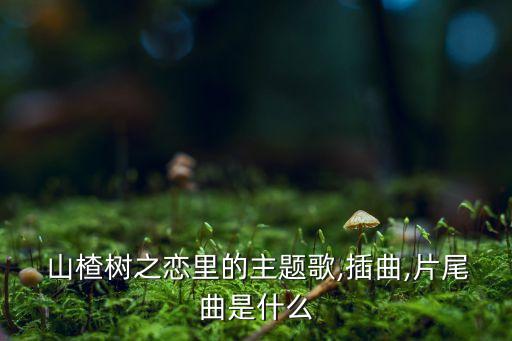美丽的山楂树舞蹈,山楂树下舞蹈视频分解动作
