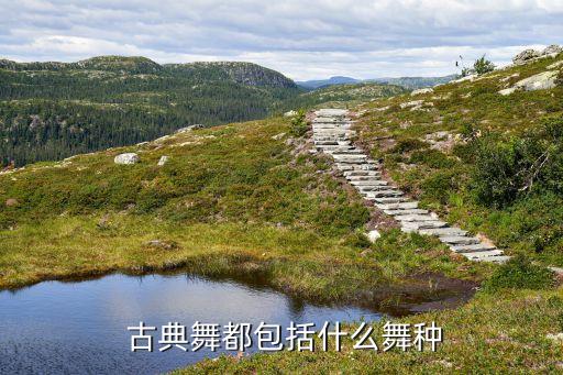 中国古典舞有哪些舞蹈,谈谈中国古代舞蹈与中国古典舞