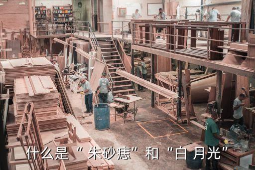 男生跳白月光朱砂痣舞蹈,白月光与朱砂痣的舞蹈视频完整版