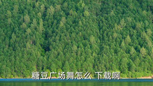 下载舞蹈好地方 舞曲,舞蹈屋广场舞曲下载