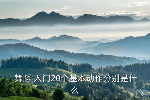 学现代舞蹈的入门动作视频,男人学舞蹈入门20个基本动作