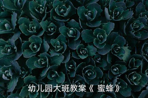 儿童小蜜蜂舞蹈视频