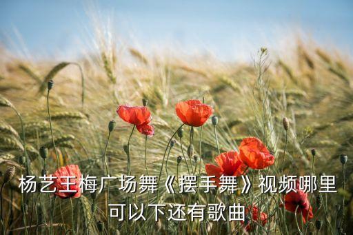 舞蹈杨艺专场,杨艺舞蹈洪湖水浪打浪