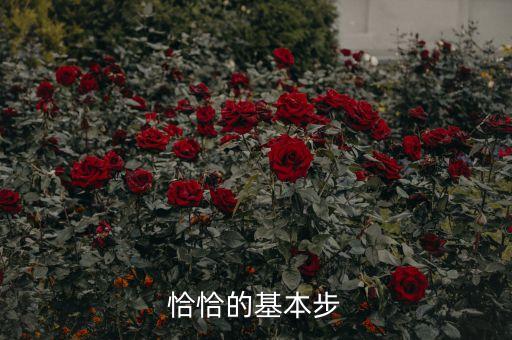 体育舞蹈基本姿势