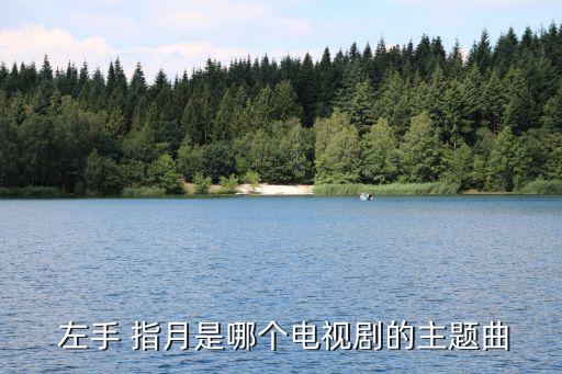 糖豆广场舞左手指月舞蹈