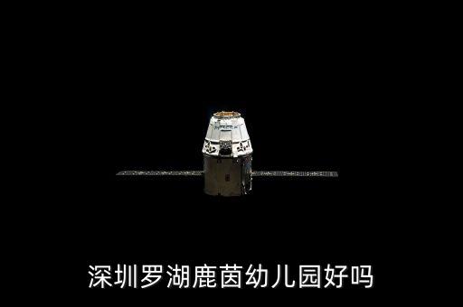 少儿舞蹈外教视频教学视频