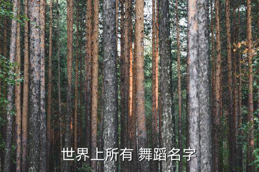 摩登舞又叫什么舞蹈