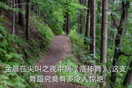 国风舞蹈的音乐叫什么,舞蹈奔腾的音乐叫什么