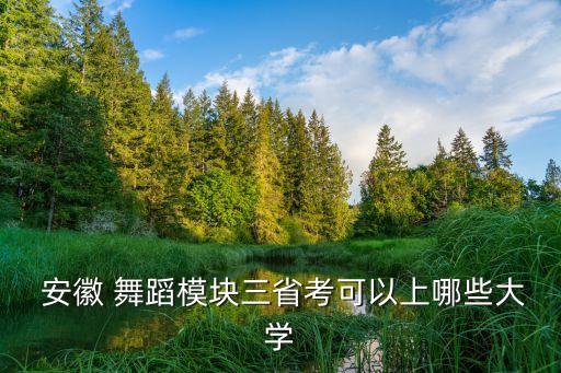 安徽舞蹈专业艺校,黑龙江省艺校舞蹈专业