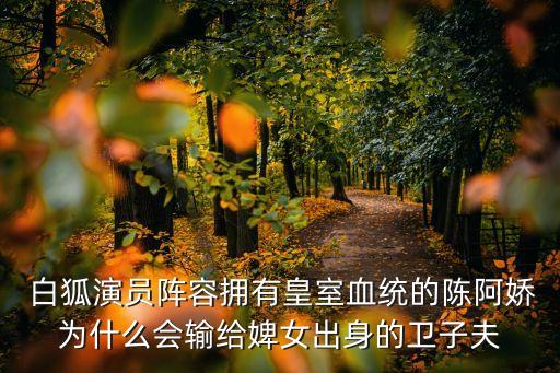 白狐双人舞蹈,白狐舞蹈慢动作教程