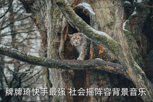 学跳的社会摇舞蹈,原版社会摇舞蹈视频完整版