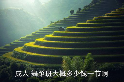 成都舞蹈培训学校价格