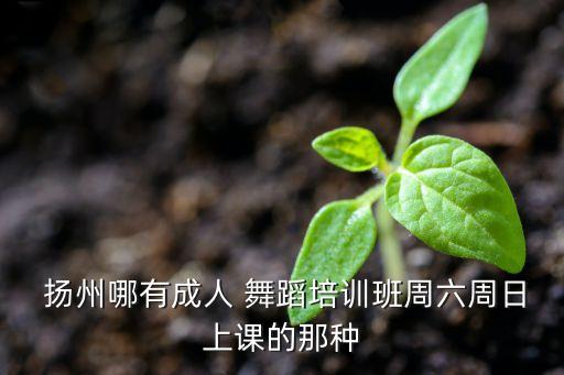 扬州舞蹈哪个好,三月下扬州舞蹈视频