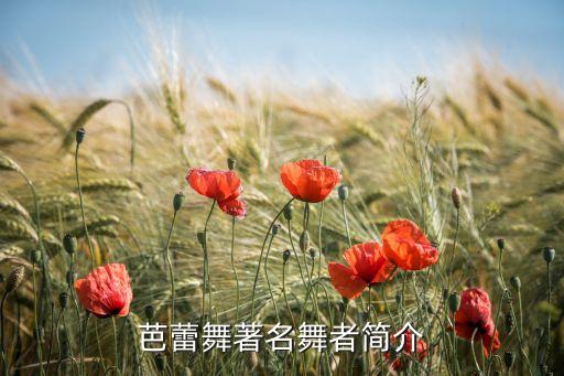 谢尔盖普诺宁舞蹈视频