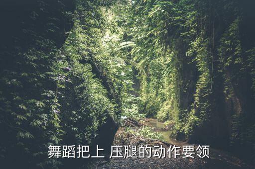 舞蹈压腿知识大全,小女生练舞蹈压腿视频大全