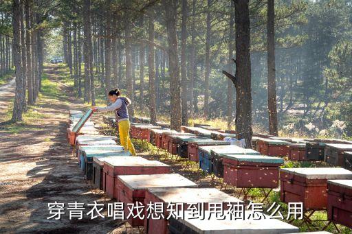 水袖舞蹈扇子,像水袖一样的扇子