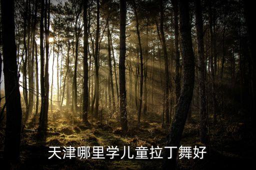 仪征黑池舞蹈培训,盐城梦黑池舞蹈培训一年学费多少