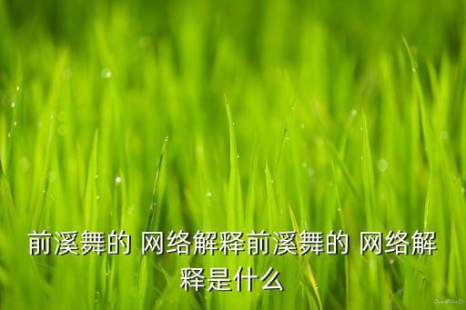 舞蹈 网络,舞蹈网络教学的利弊