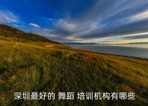 深圳幼儿教师舞蹈培训,幼儿教师舞蹈培训方案及总结