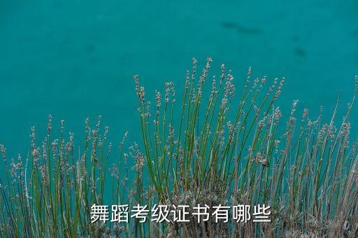 举办舞蹈比赛的资质,山东省举办的省级舞蹈比赛