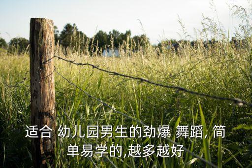 比较简单幼儿舞蹈,简单幼儿舞蹈课间篮球操《偶像万万岁》