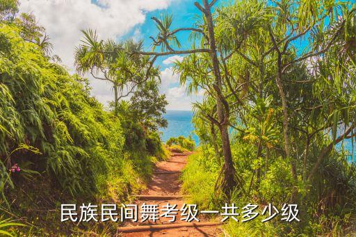 民族舞蹈教材,欢快的民族舞蹈一等奖