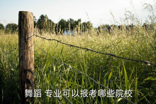 洛阳师范学院舞蹈专业排名
