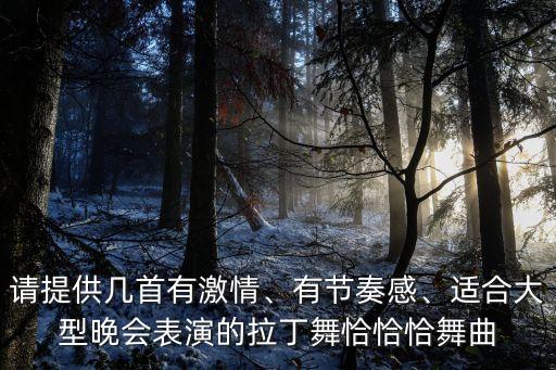 上课用的恰恰舞蹈