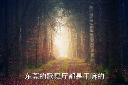 东莞舞蹈工作,东莞婷婷舞蹈