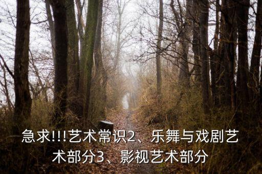 舞蹈十级塞外情,塞外情十级舞蹈镜面