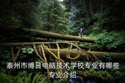 泰州话舞蹈,泰州学舞蹈比较好的地方