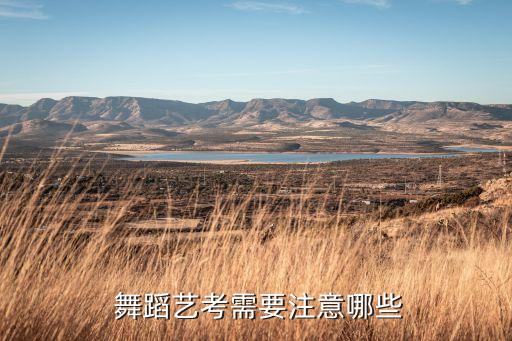 北京舞蹈学院要会什么东西