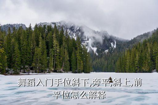 舞蹈正步位动作怎么做