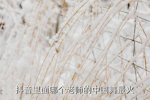 六月清荷扇子舞蹈,北舞跳的六月清荷舞蹈