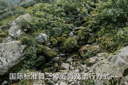 形体舞蹈动作 怎样运手